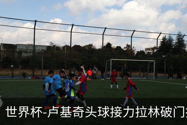 世界杯-卢基奇头球接力拉林破门扳平 加拿大1-1波黑